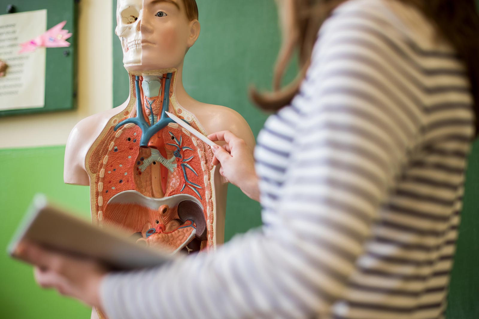 Anatomy class