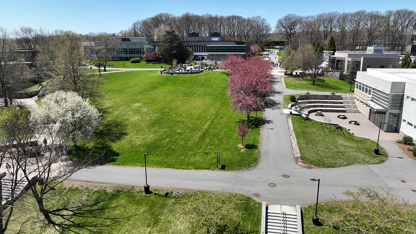 Aerial view of CCM campus
