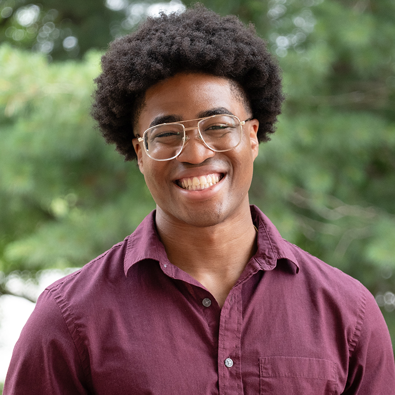 Portrait of Brian Williams